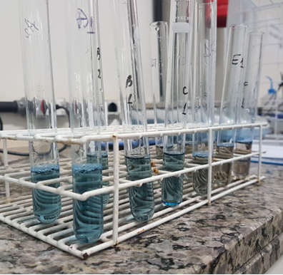 Realização da curva padrão da caseína (08/06/2019). Os reagentes encontram-se em repouso para posterior leitura de absorbância a 595 nm em espectrofotômetro (Fonte: D. Baron).